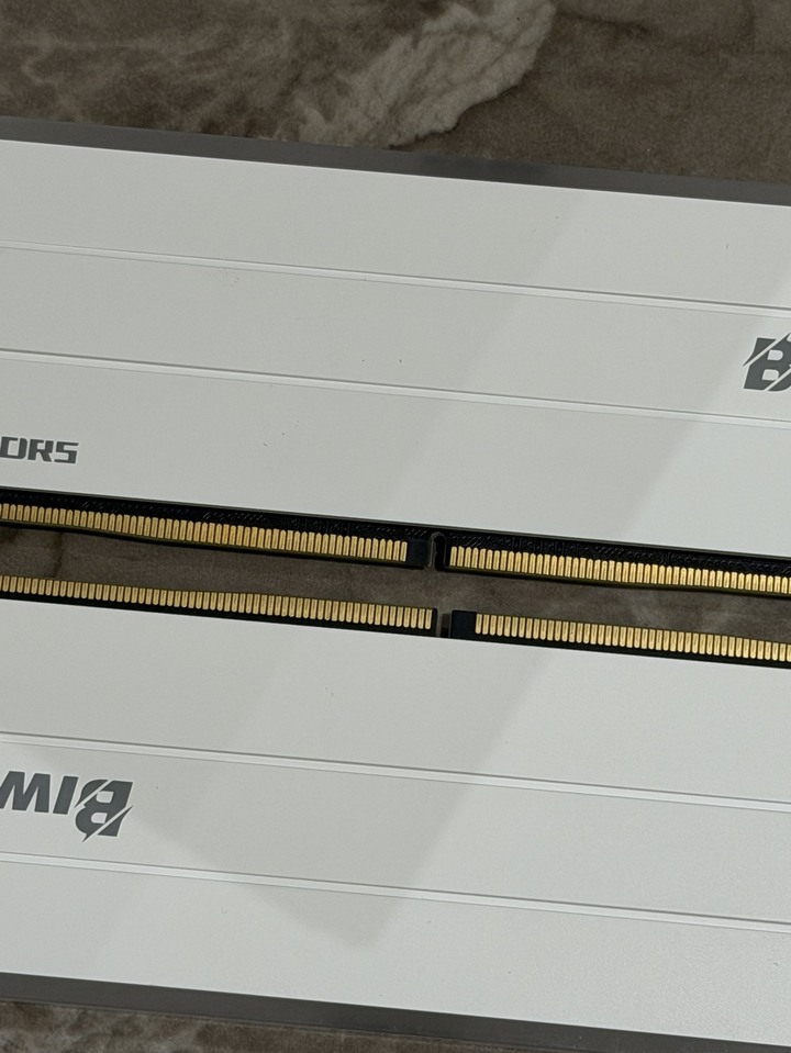 極新 隨便賣 BIWIN佰維 DW100 RGB DDR5-6000 【24GBx2】 記憶體 記憶卡 D5