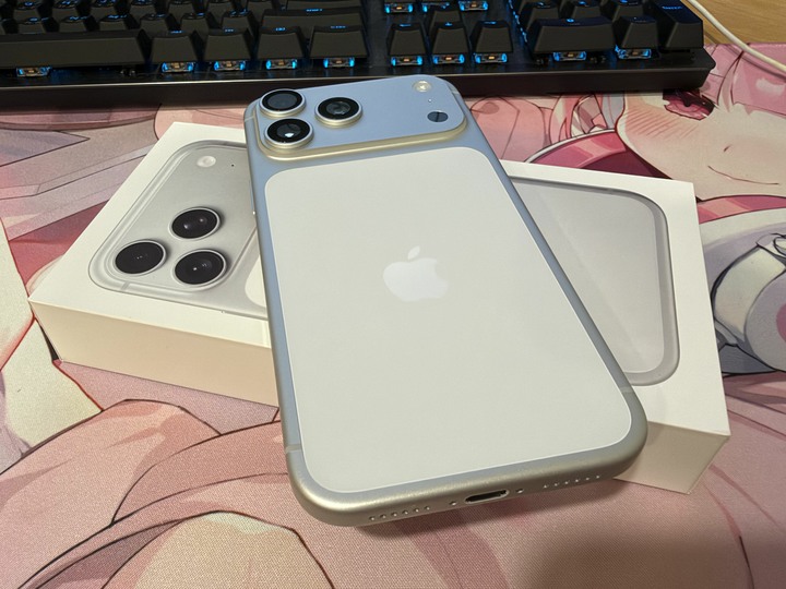 Apple iPhone17 Pro Max 256G銀色