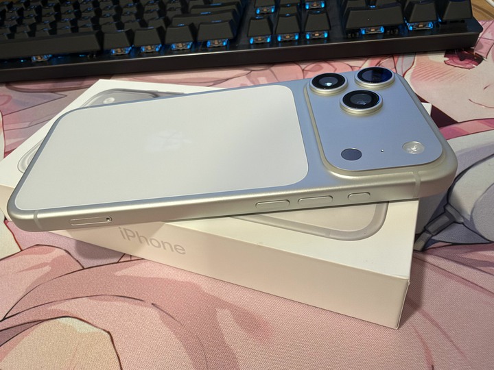 Apple iPhone17 Pro Max 256G銀色