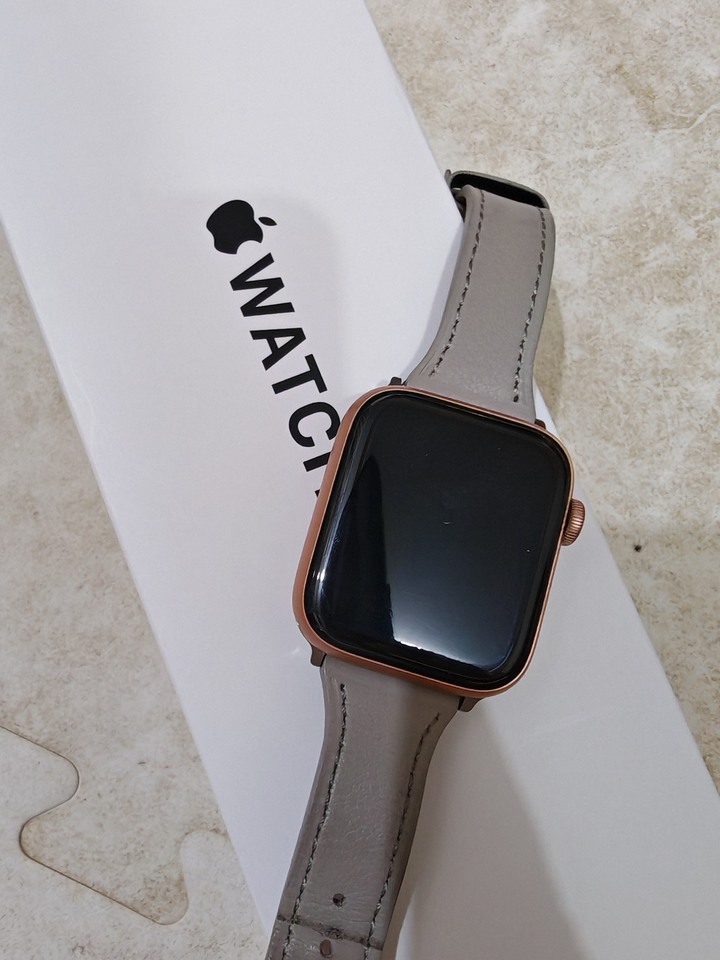 Apple Watch SE 第1 代GPS 44mm 玫瑰金