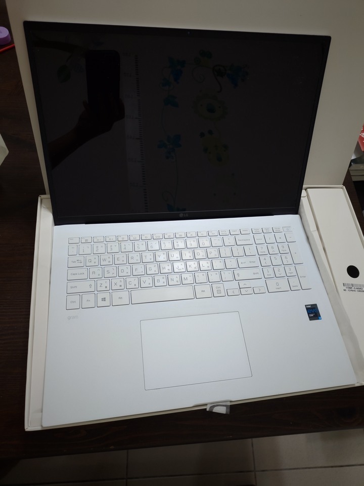 售LG GRAM 17吋 17Z90P-G 白 2021