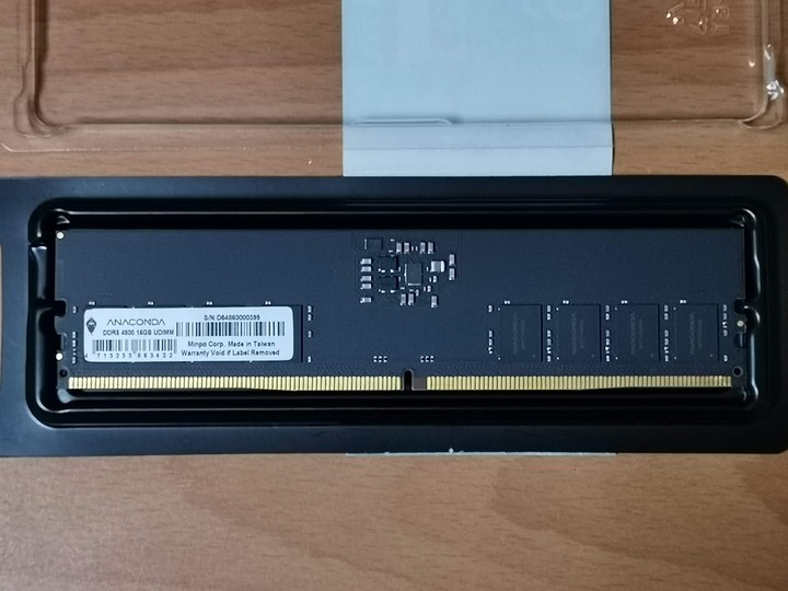 極新 ANACOMDA 巨蟒  DDR5 4800 16GB 桌上型記憶體