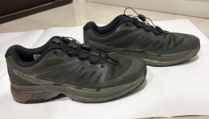 Salomon XT-Wings 2 Advanced 男鞋
