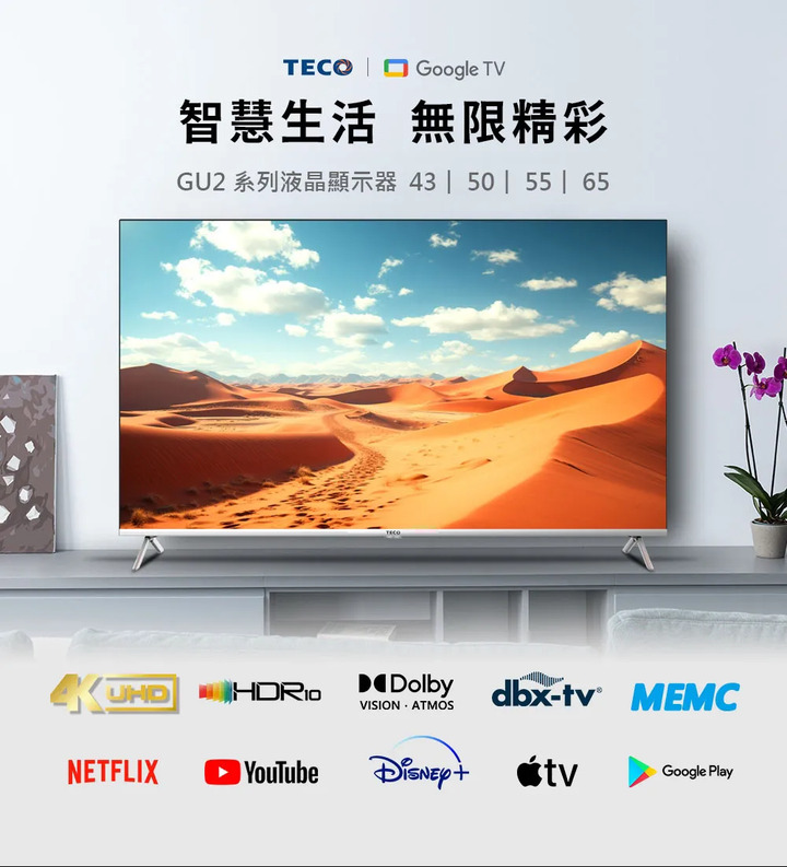 Teco 65型 4K+Android 連網液晶電視液晶顯示器(TL65GU2TRE)