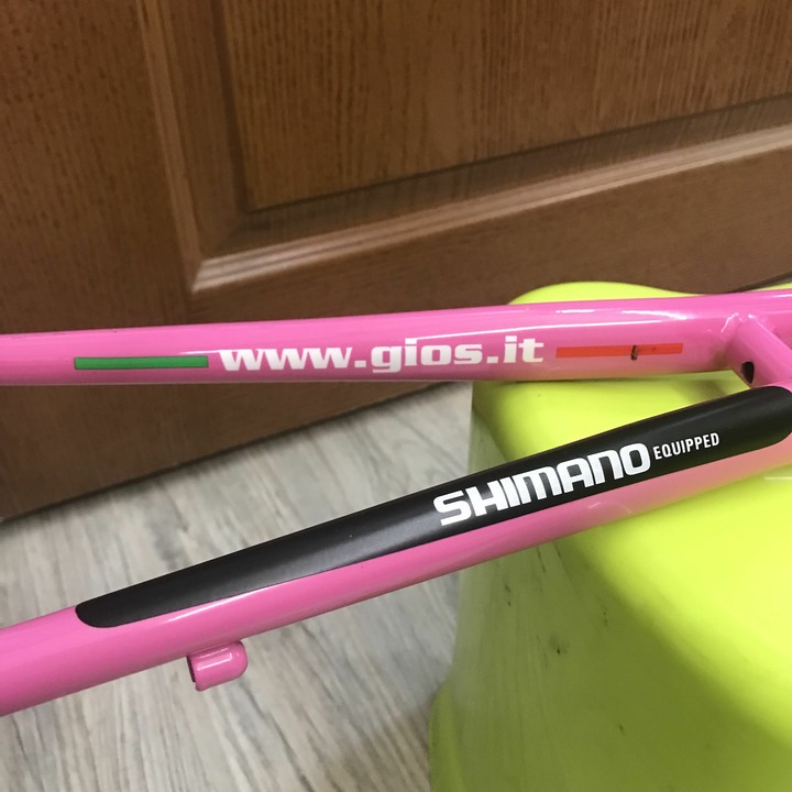 義大利 Gios Mignon 小徑車架組出售 北投捷運站面交不寄送