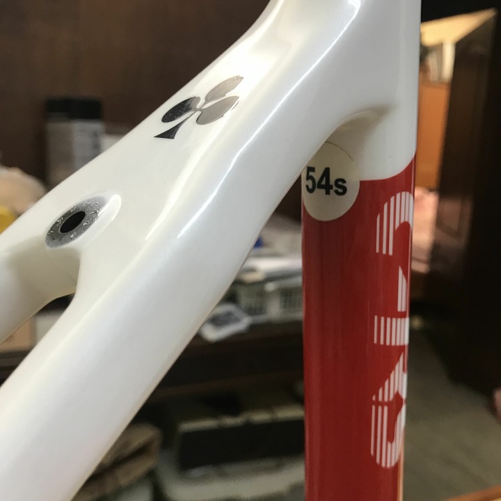 Colnago CRS 碳纖維車架組出售 尺寸54 適身高170以上 北投捷運站面交