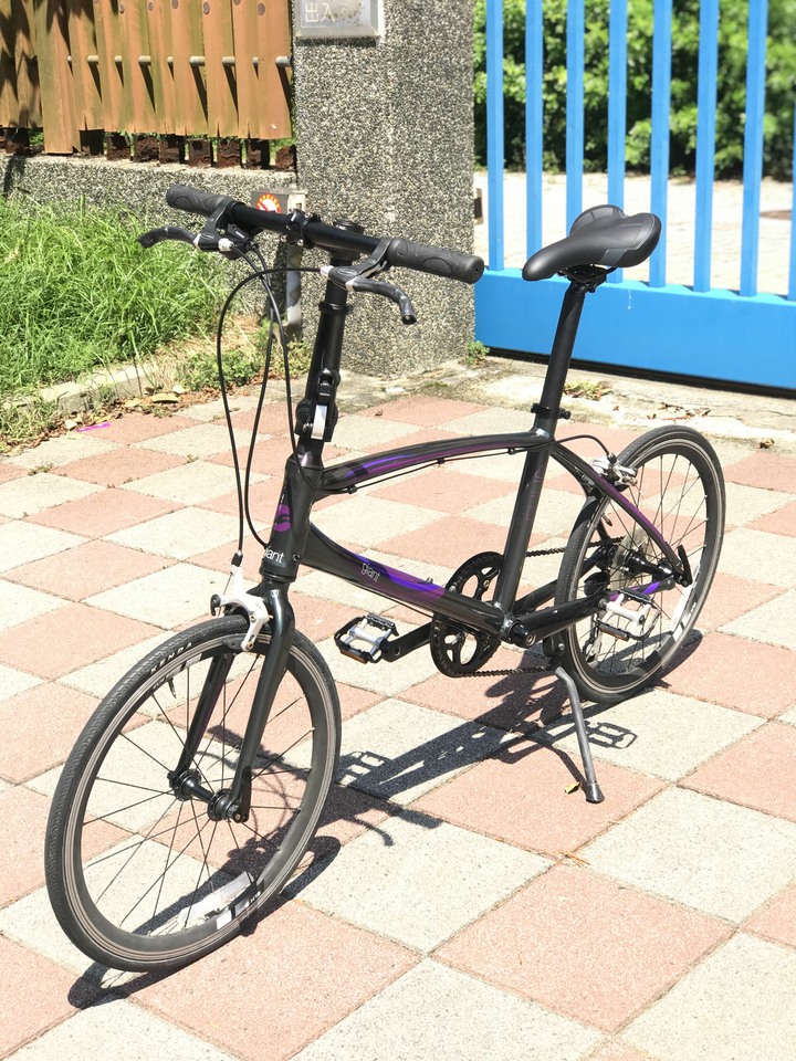 【出售】捷安特 Giant Liv Fuuri 輕量化平把小徑車（451輪徑/SHIMANO 18速 / 可折疊龍頭）