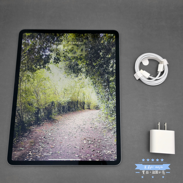 【高雄現貨】iPad Pro 12.9吋 4代 256G WIFI 太空灰 A2229 12.9 256Gb