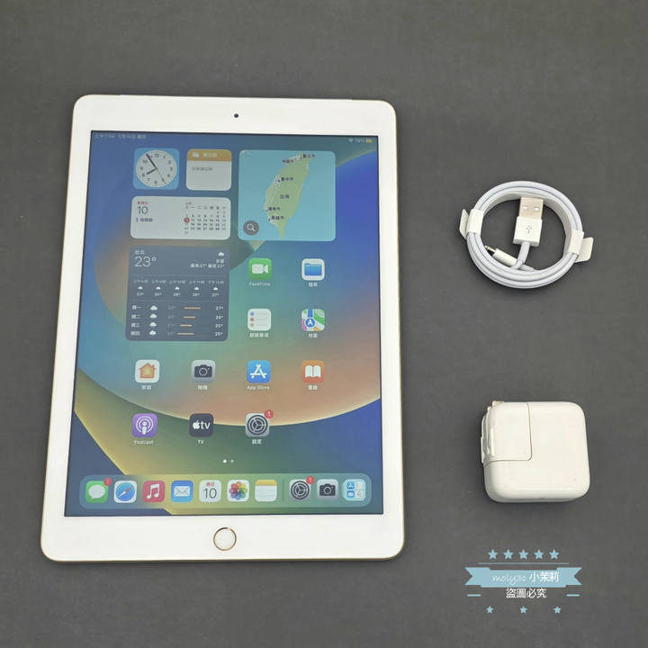 【高雄現貨】iPad mini 5 LTE 32G 7.9吋 金 Wi-Fi+Cellular 可插卡 mini5 台灣蘋果 32GB