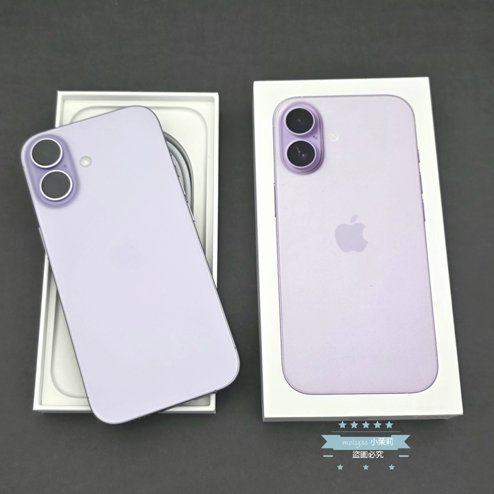 【高雄現貨】電100% iPhone 17 256GB 紫 6.3” 台灣公司貨 256G i17 A3520