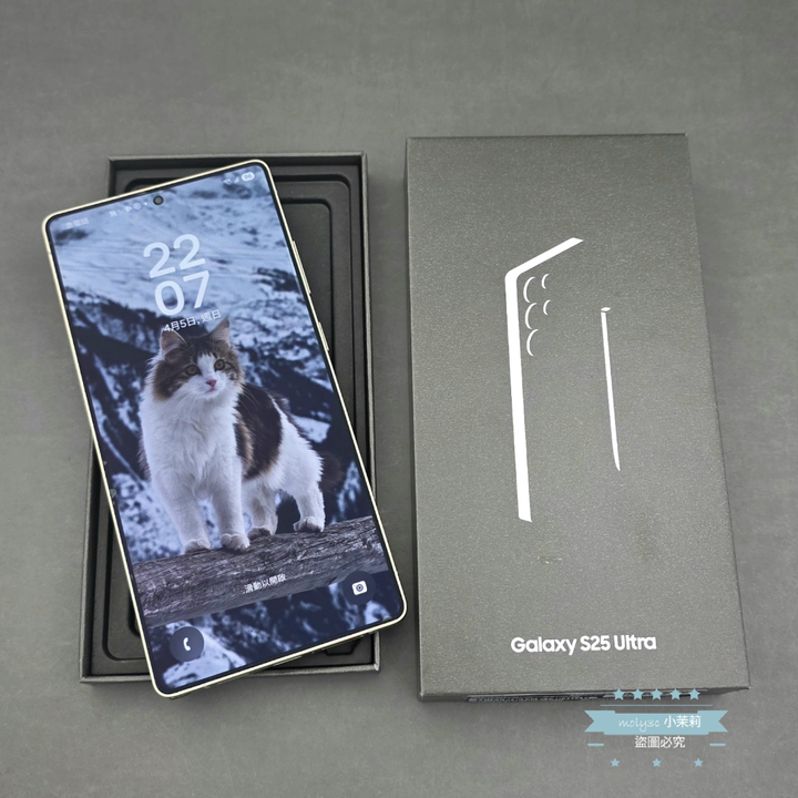 【高雄現貨】大容量 SAMSUNG Galaxy S25 Ultra 5G 12G 512G 6.8吋 鈦空藍 S25U 512Gb