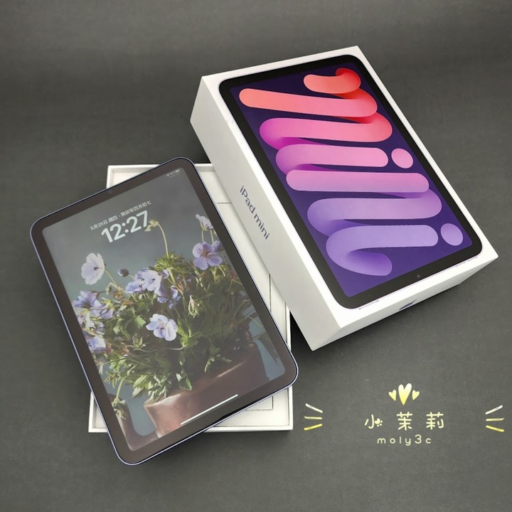 【高雄現貨】iPad mini 6 5G 64G 紫 8.3吋 可插卡 mini6 LTE 64Gb