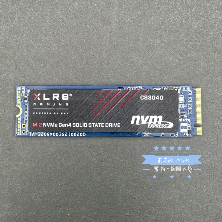 【高雄現貨】PNY XLR8 CS3040 2TB M.2 2280 PCIe Gen4x4 SSD固態硬碟