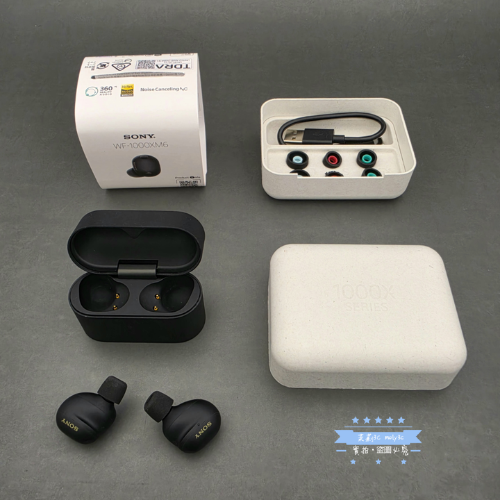 【高雄現貨】3月購買 SONY WF-1000XM6 Wireless 主動降噪 入耳式耳機 黑 台灣公司貨