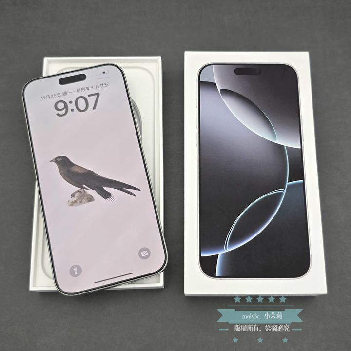 【高雄現貨】4月開通 電池100% iPhone 16 Pro Max 256GB 銀色鈦金屬 6.9” 台灣公司貨 256G