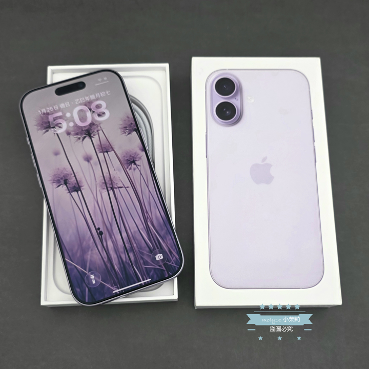 【高雄現貨】電100% iPhone 17 256GB 紫 6.3” 台灣公司貨 256G i17 A3520