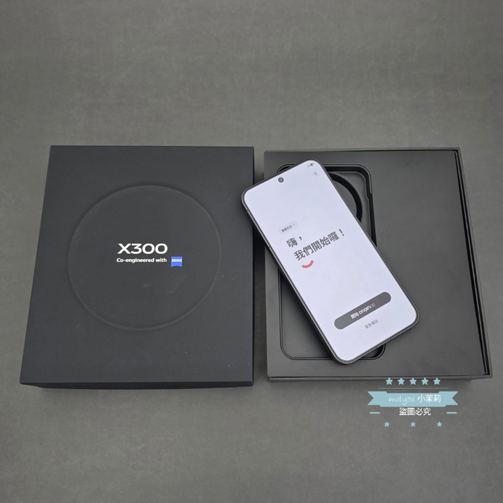 【高雄現貨】全新拆封 vivo X300 (12G/256G) 晴空藍 6.31吋 台灣公司貨