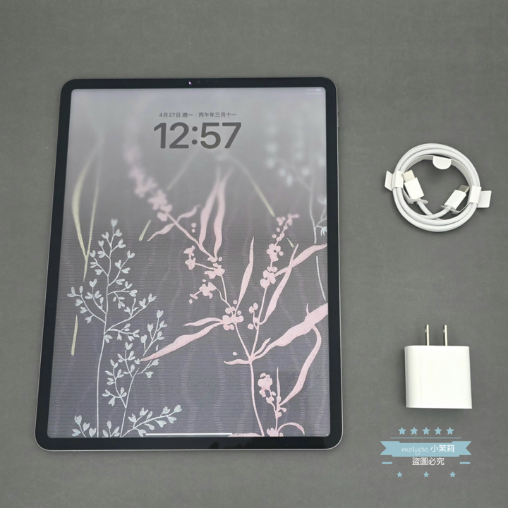 【高雄現貨】iPad Pro 12.9” V 第5代 M1 256G Wi-Fi 256Gb 可加購巧控鍵盤