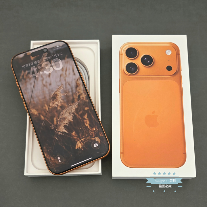 【高雄現貨】電100% iPhone 17 Pro 256GB 宇宙橙 6.3”台灣公司貨 256G A3523