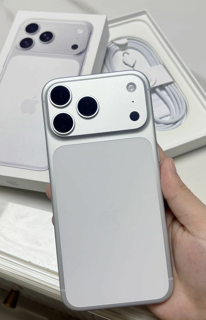 iPhone 17 promax 銀 盒子配件都在 已貼玻璃保貼 pro max