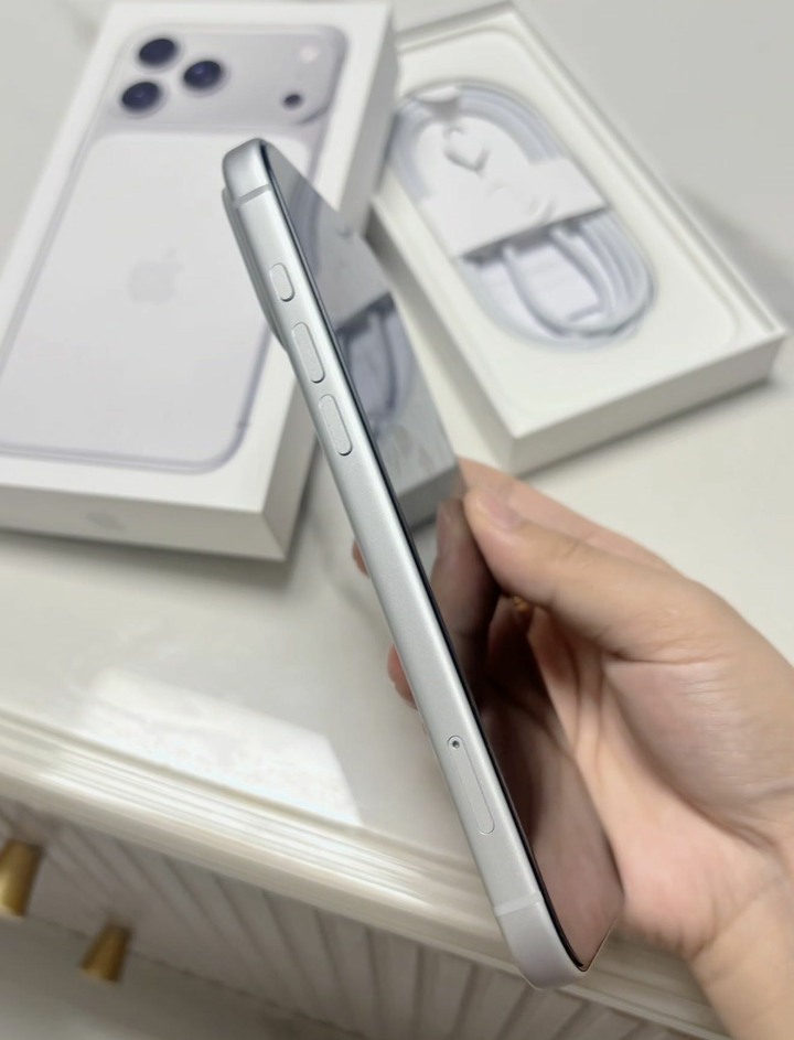 iPhone 17 promax 銀 盒子配件都在 已貼玻璃保貼 pro max