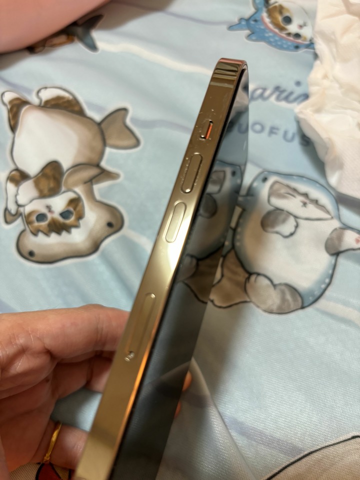 iPhone 14 Pro 256g 金色