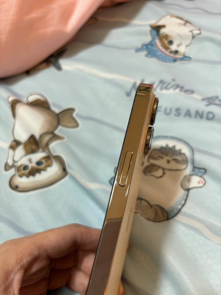 iPhone 14 Pro 256g 金色