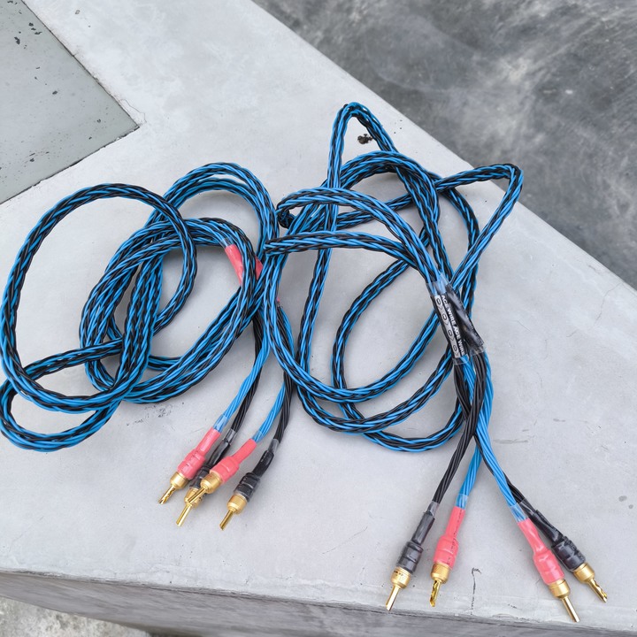 3米1對 ACE wire 喇叭線