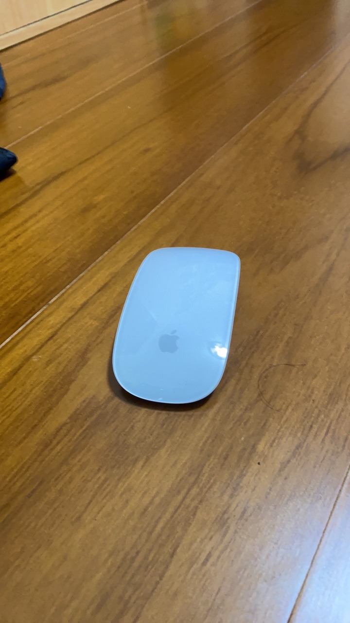 mac 無線滑鼠