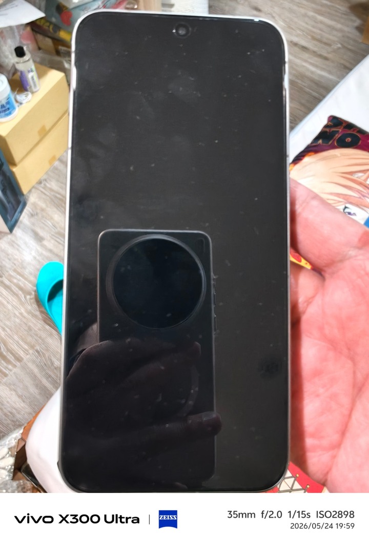 VIVO X300 PRO 棕色