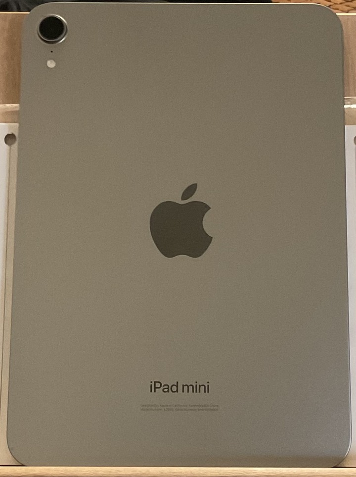 iPad mini 7 A17 8.3 吋 128G WiFi 灰色（原廠保固中至2026/1/9）