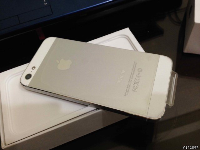 Apple iPhone 5 白色 16G_5S 可參考
