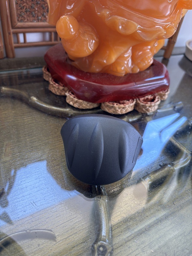 TESLA 自駕神器 配重器 AP PAPA