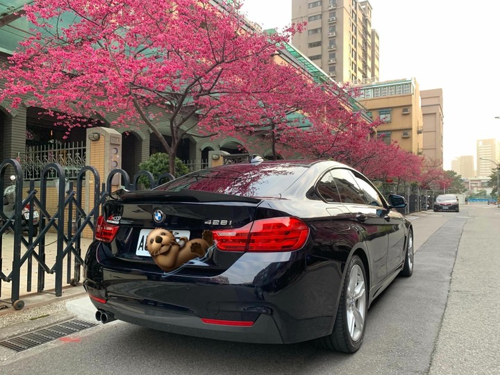 自售｜2016 BMW 428i Gran Coupe F36
