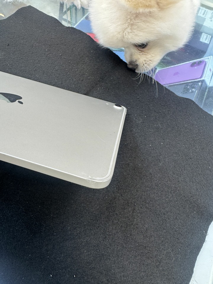 I pad pro 256g 11吋A1980