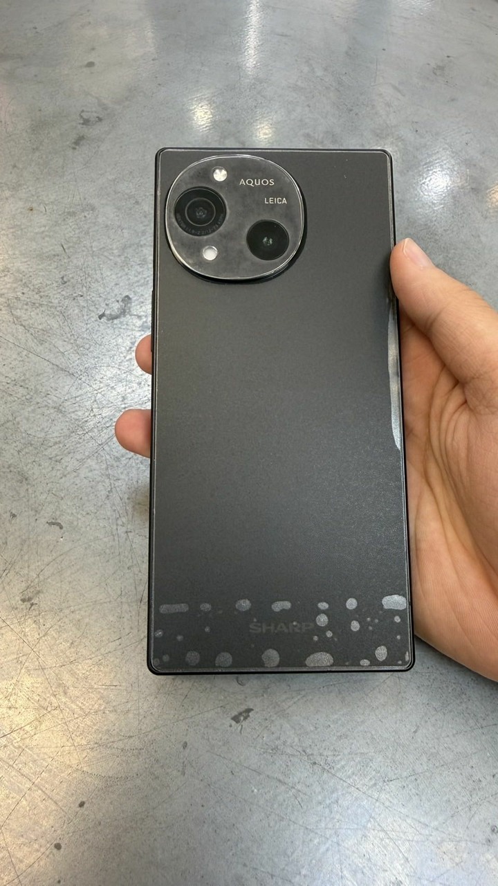 Sharp R10 256g