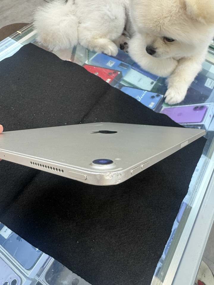 I pad pro 256g 11吋A1980