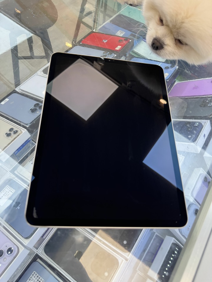 I pad pro 256g 11吋A1980