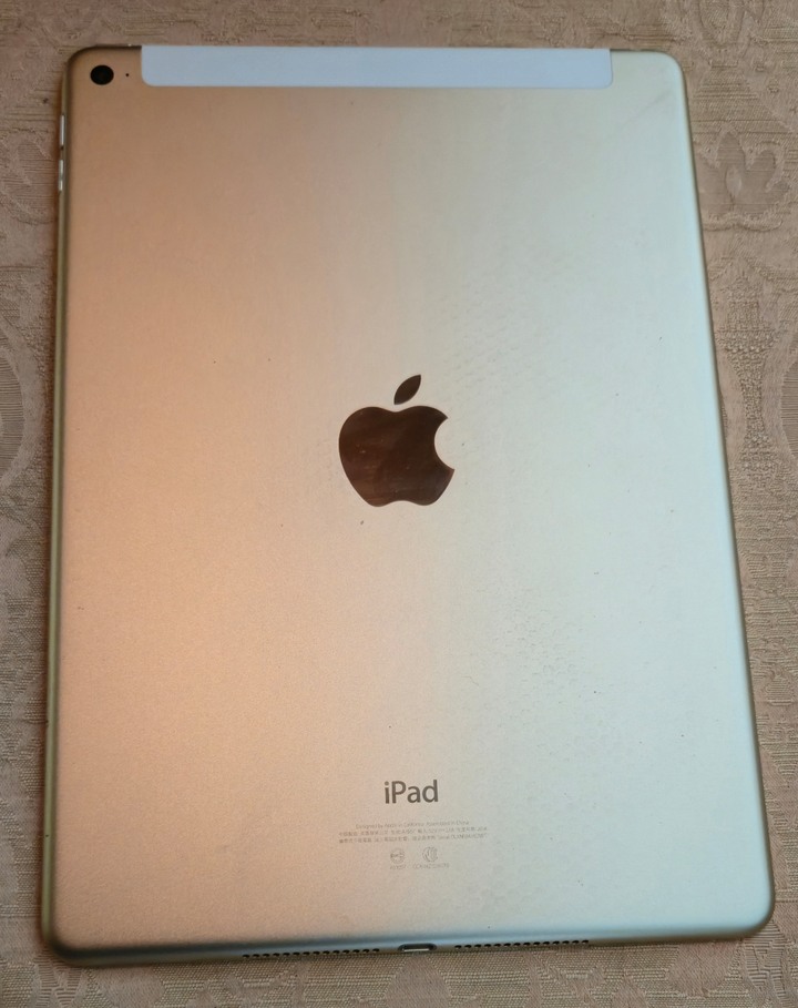 iPad Air 2 WiFi 版 16G 台灣公司貨 銀色