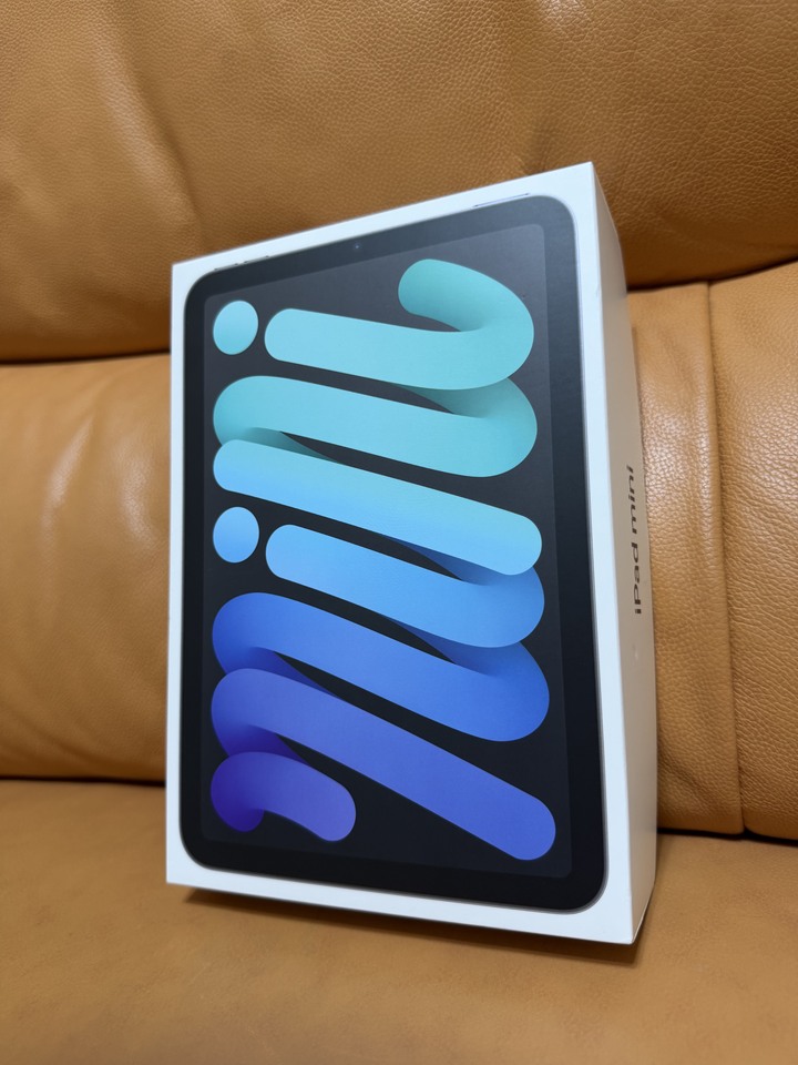 iPad mini 6 WiFi 64g 太空灰(外觀幾乎全新）