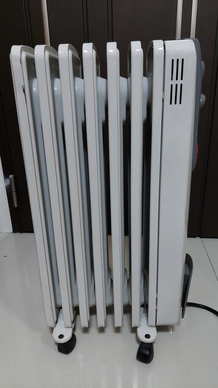 Radia 電暖器 義大利製PCHOME過保個人保固1週 650W/1500W 可定時開關