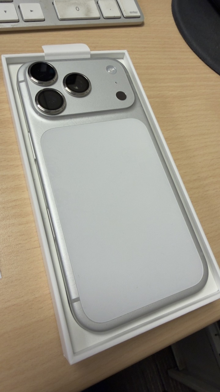 iPhone 17 Pro 256G 銀白