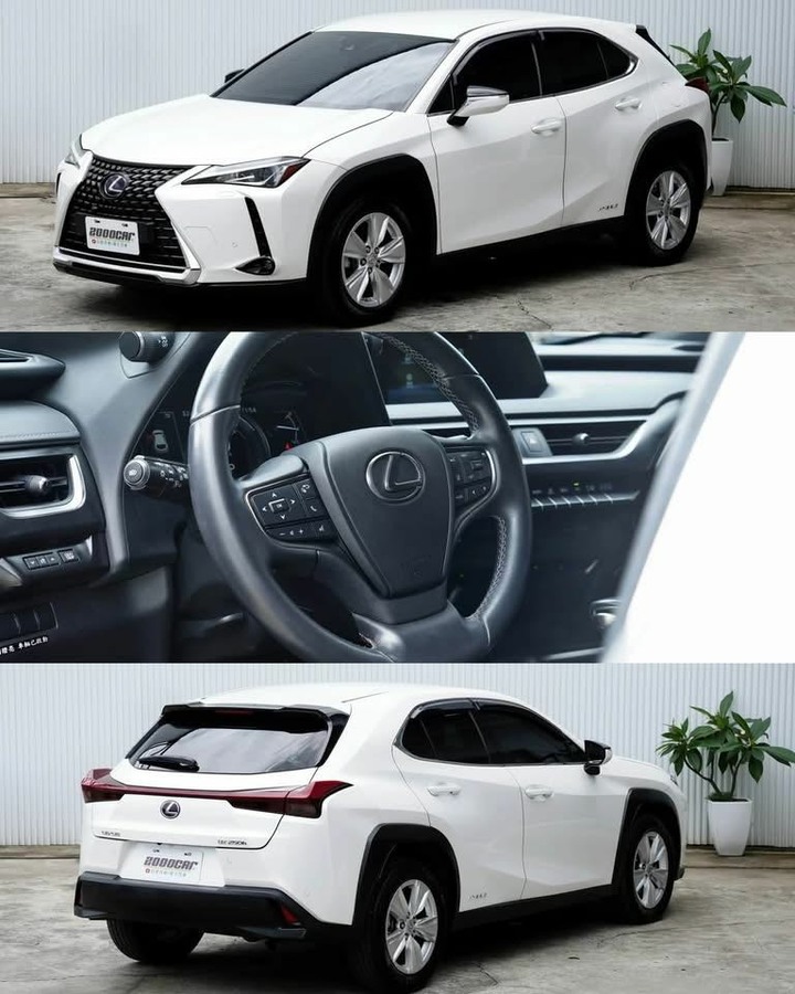 2021 Lexus UX250h 油電