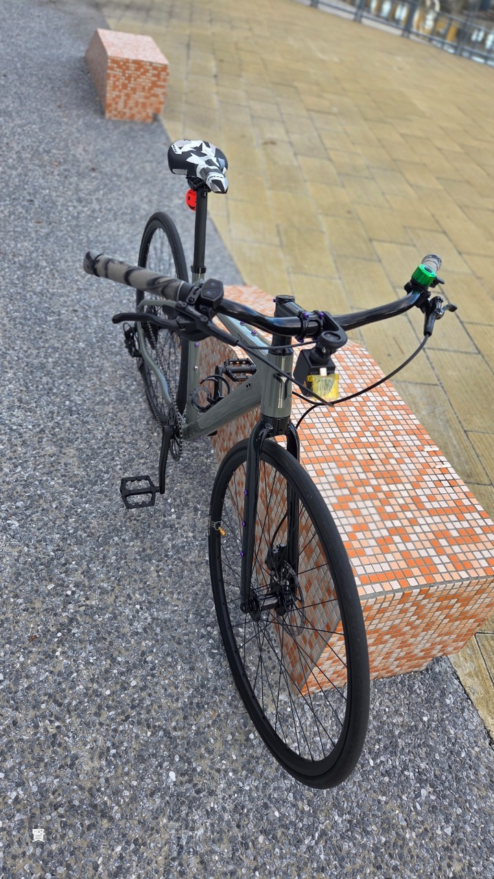 鋁合金礫石車10速 S碼