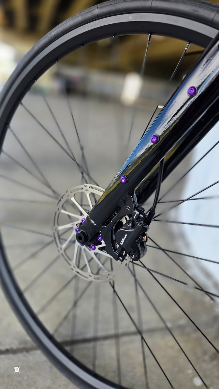 鋁合金礫石車10速 S碼