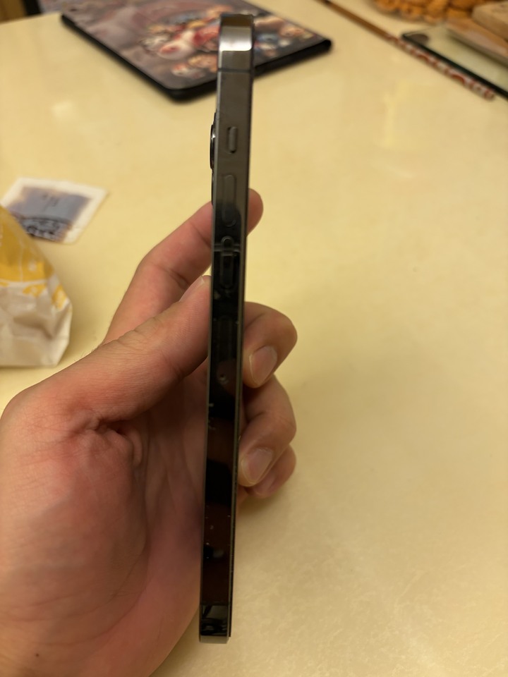 iPhone 13pro max 無盒裝 已過保 9成新