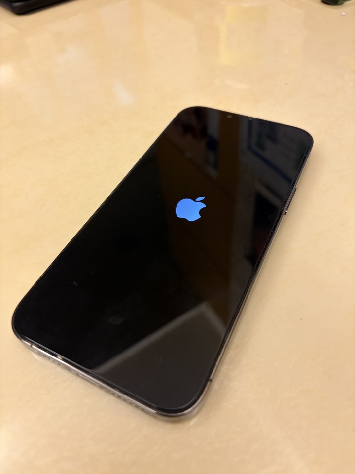 iPhone 13pro max 無盒裝 已過保 9成新