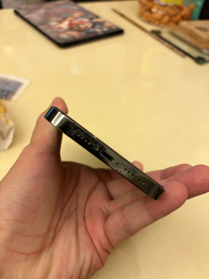 iPhone 13pro max 無盒裝 已過保 9成新