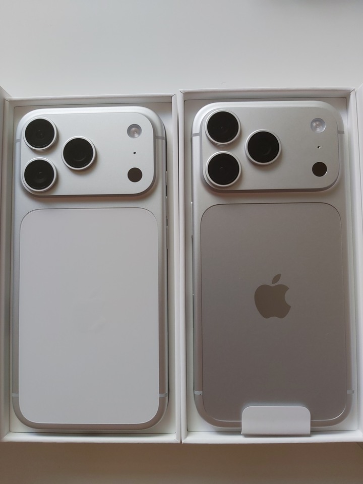 iPhone 18 Pro 256GB 銀色