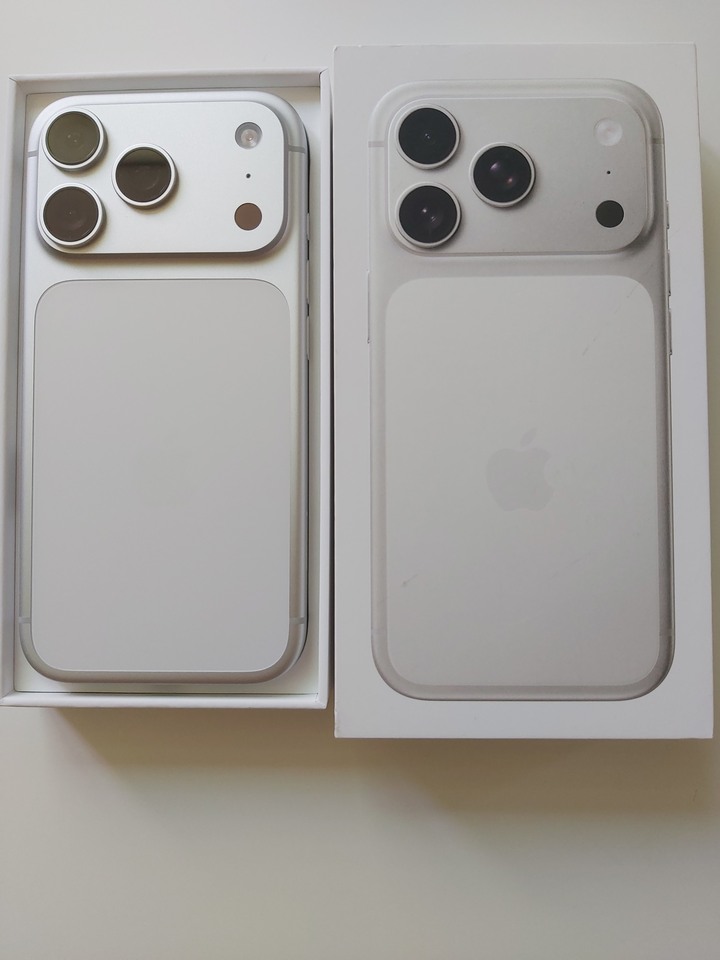 iPhone 17 Pro 256GB 銀色